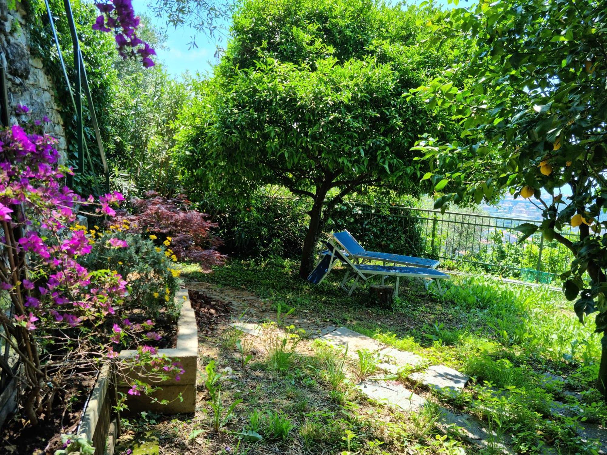 B&B La Terrazza Sui Fieschi Cogorno ภายนอก รูปภาพ