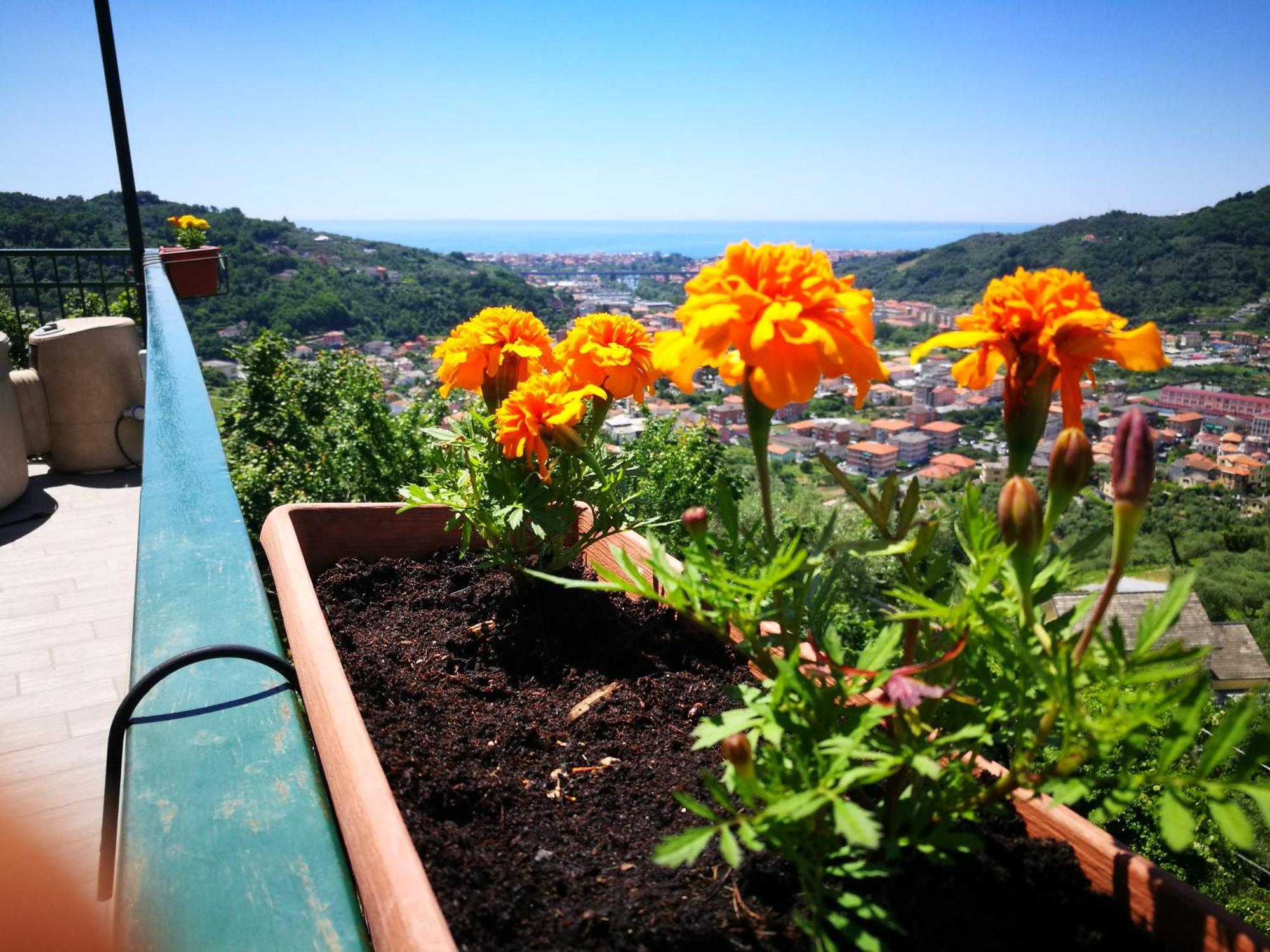 B&B La Terrazza Sui Fieschi Cogorno ภายนอก รูปภาพ