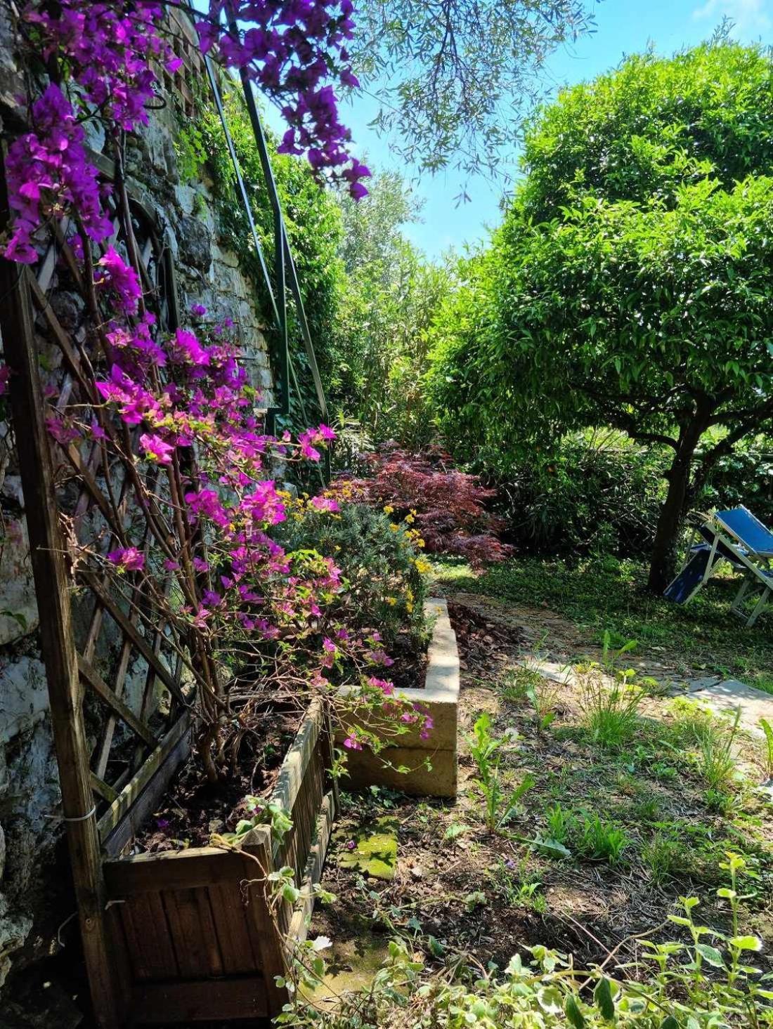 B&B La Terrazza Sui Fieschi Cogorno ห้อง รูปภาพ